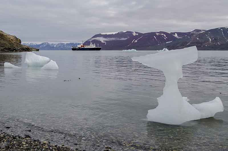 121 - Noruega - islas Svalbard - isla de Spitsbergen - fiordo Liefdefjord - Andoyane